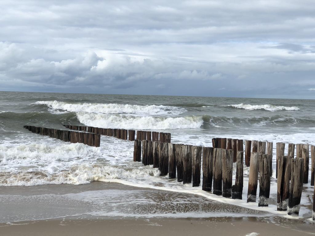 De Zeeschelp